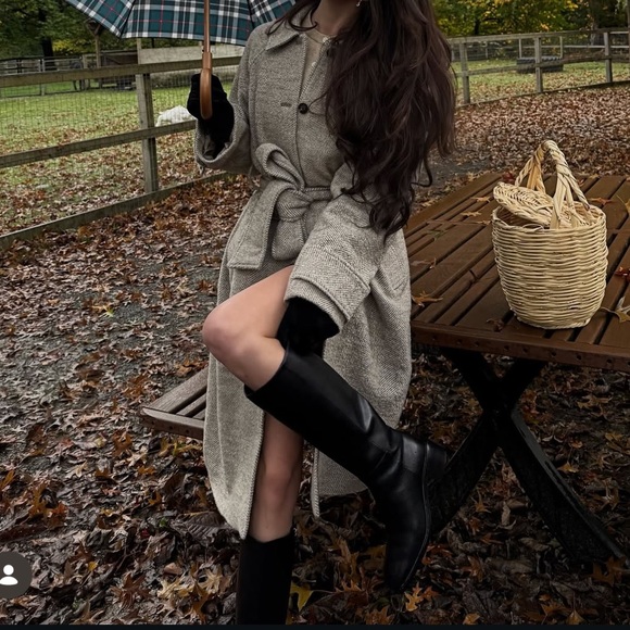 Everlane Herringbone Tan Coat - Picture 4 of 6